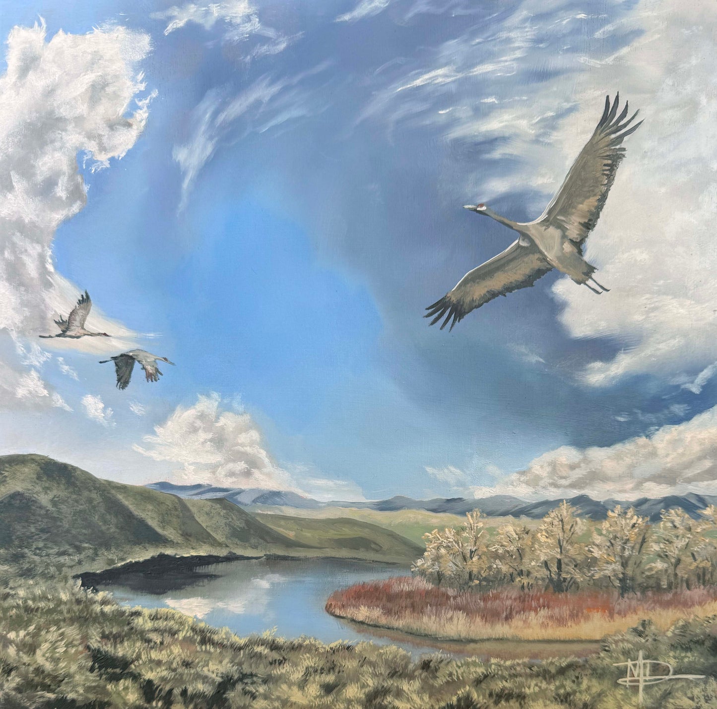 "For the Conservation of Wings and Watersheds"