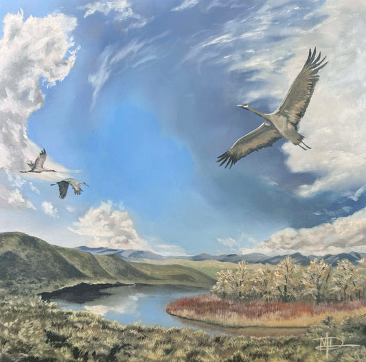 "For the Conservation of Wings and Watersheds"