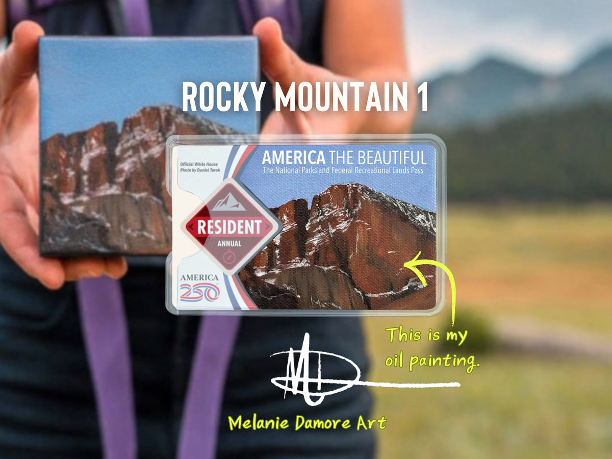 National Parks Pass Sleeve