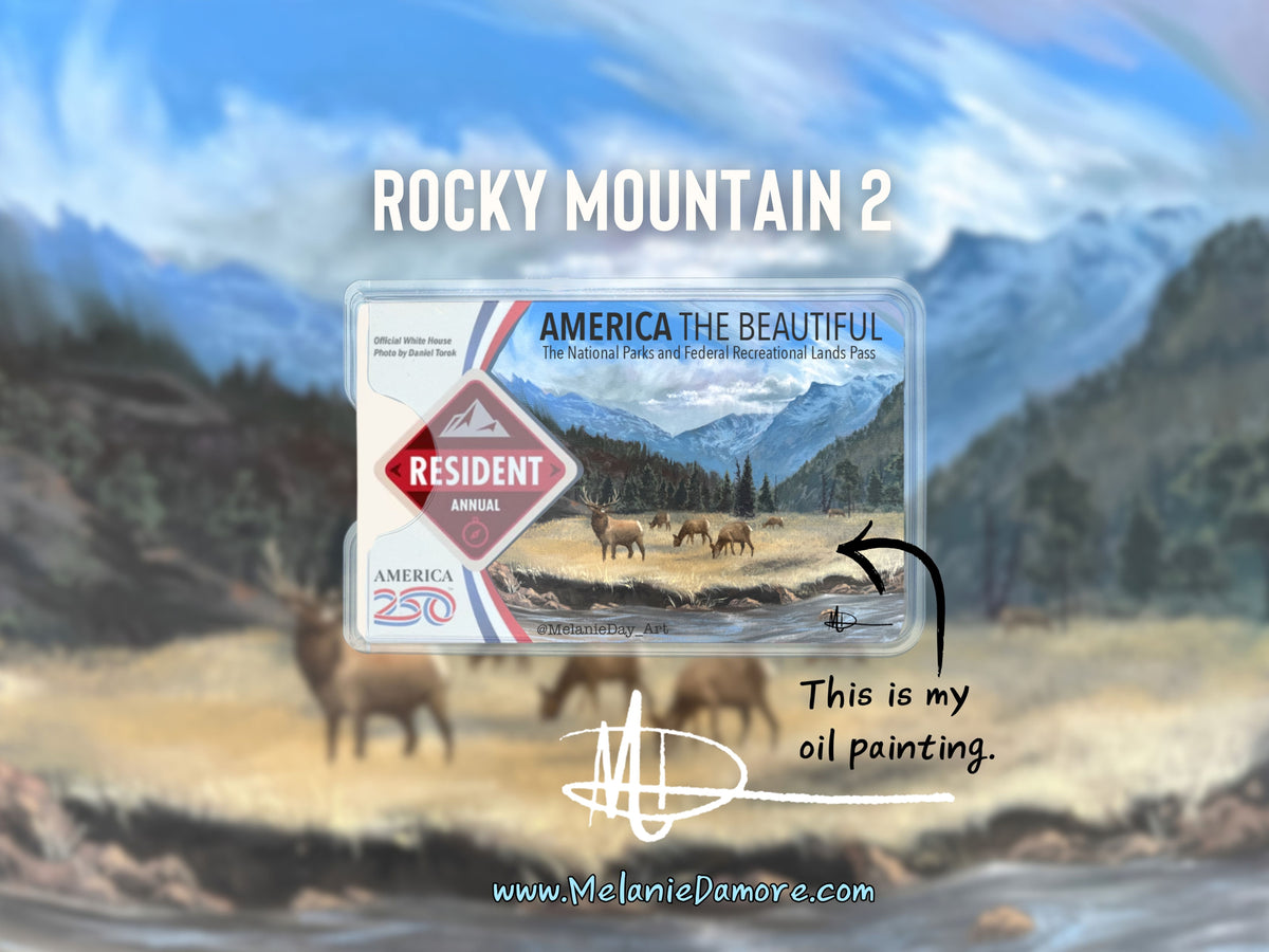 National Parks Pass Sleeve
