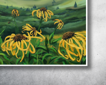 American Basin Print